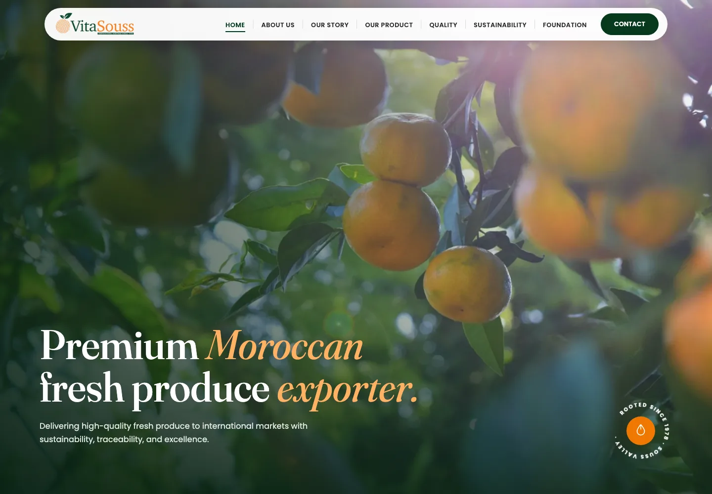 VitaSouss, site export produits frais marocains